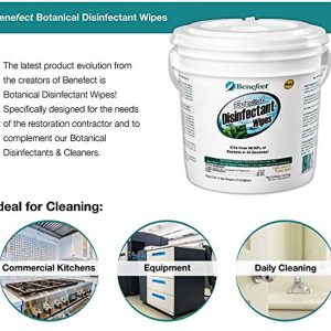 Benefect Botanical Disinfecting Wipes - (250 Wipe Count) Natural, No Residue - Antibacterial Disinfectant, Multi-Surface Cleaning and Sanitizing Wipes