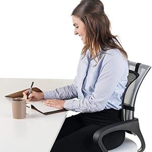 Easy Posture Lumbar Support (Double-Lock Straps ) Mesh Lumbar Support Car, Back Support for Office Chair (Black Mesh, 1PC, 2PC)