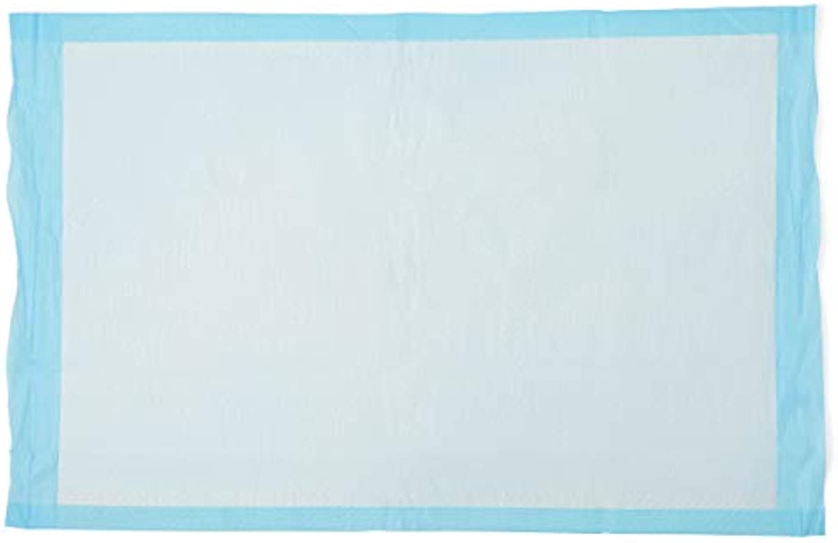 Medline Quilted Basic Disposable Blue Underpad, 23 x 36 for incontinence, Furniture Protection or Pet Pads (Pack of 150)