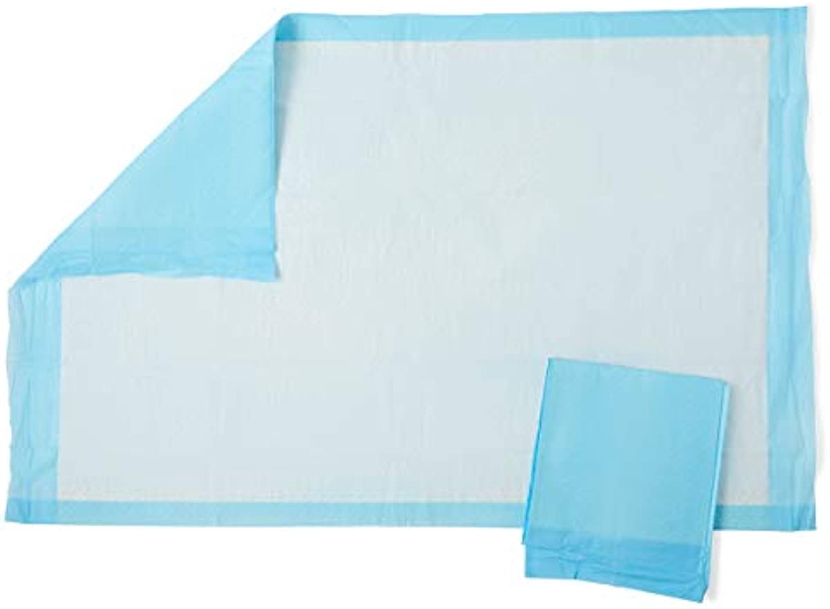 Medline Quilted Basic Disposable Blue Underpad, 23 x 36 for incontinence, Furniture Protection or Pet Pads (Pack of 150)