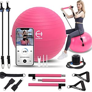 𝗖𝗛𝗔𝗠𝗣𝗬𝗔 𝗘𝘅𝗲𝗿𝗰𝗶𝘀𝗲 𝗕𝗮𝗹𝗹 for Working Out 65 cm - Yoga Ball Chair & Balance Ball for Pregnancy, Birthing Physical Therapy & Chair for Office - Stability Ball & Stainless Steel Pilates Bar for Workout
