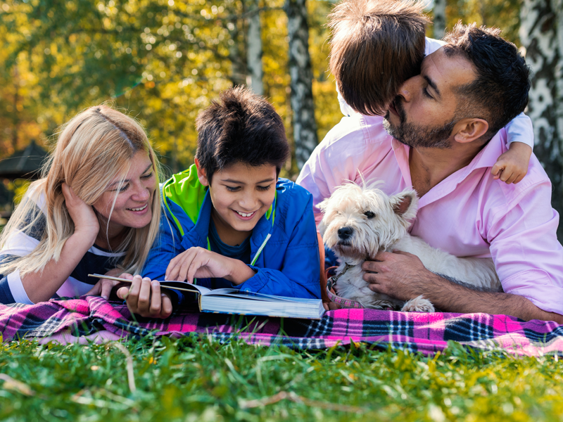 Original Strength Itch Stopping Cream