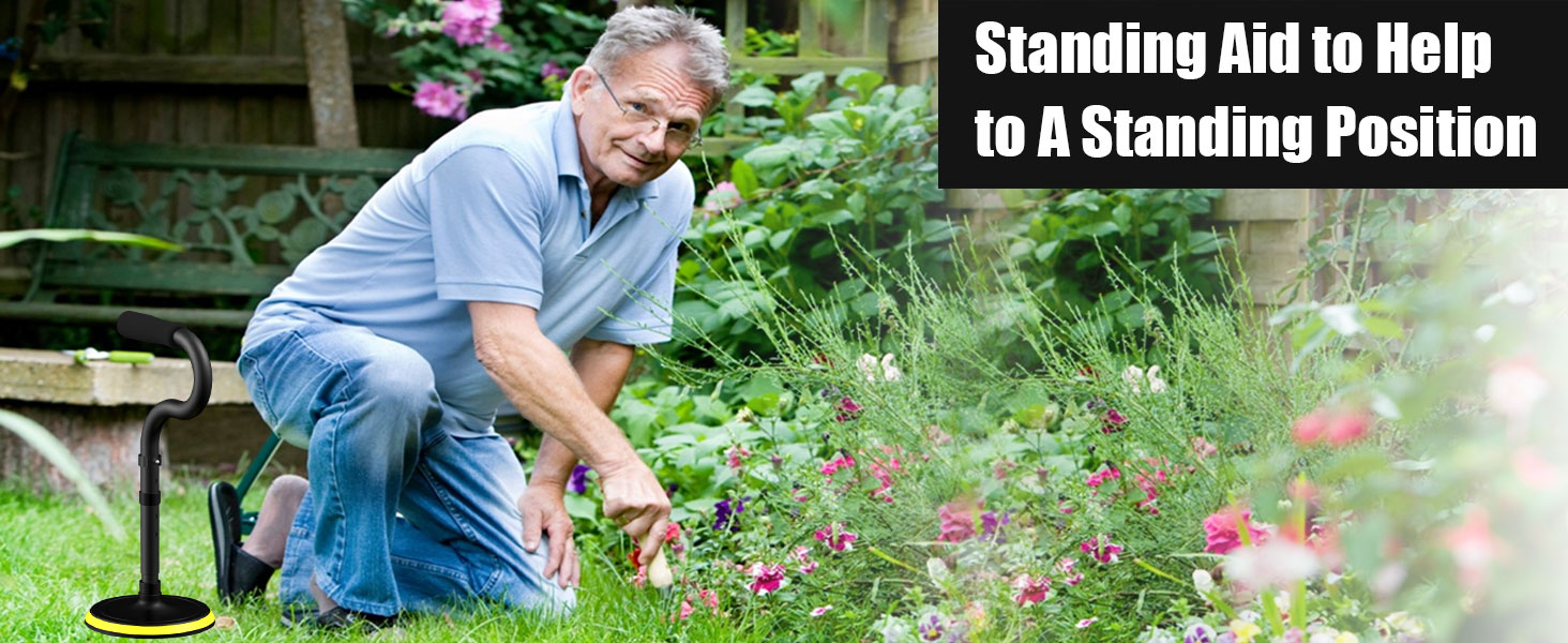stand assist aid for elderly.