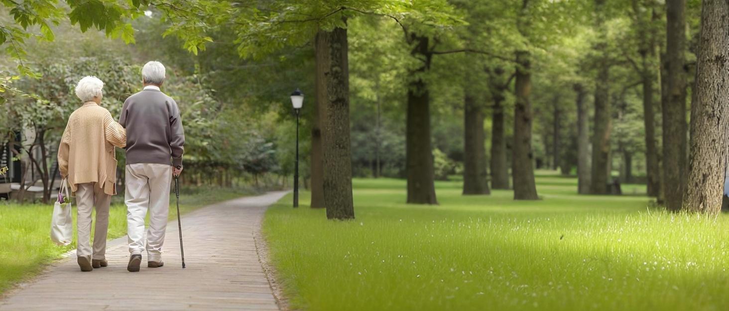 Bed Rail Product Image