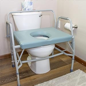 toilet seat commode