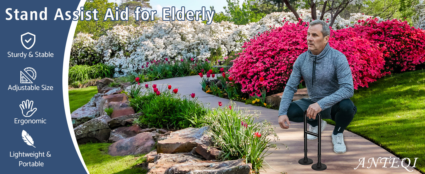 Stand Assist Aid for Elderly