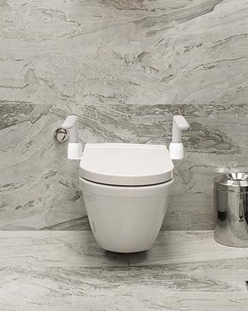Toilet Safety Rails in Use