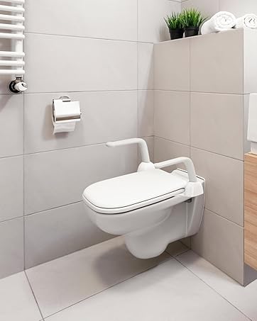 Toilet Safety Rails for Support