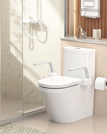 Toilet Safety Rails