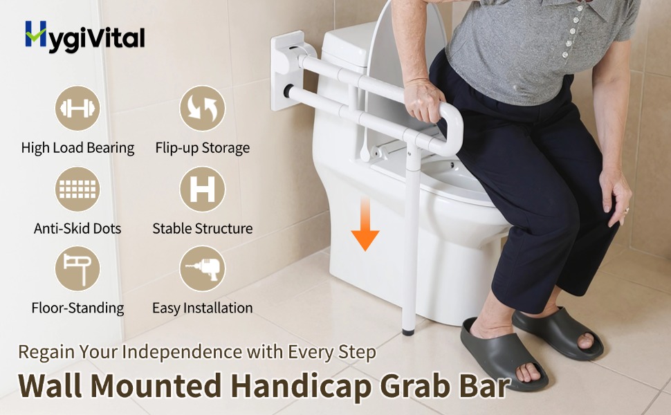 Handicap Grab Bar